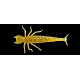 Leurres souple Fishup Diving Bug 5cm 