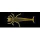 Leurres souple Fishup Diving Bug 5cm 