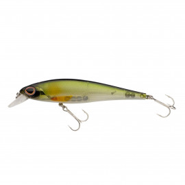 Poissons Nageurs Berkley DEX Fat Bullet 13cm