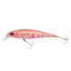 Poissons Nageurs Berkley DEX Fat Bullet 13cm