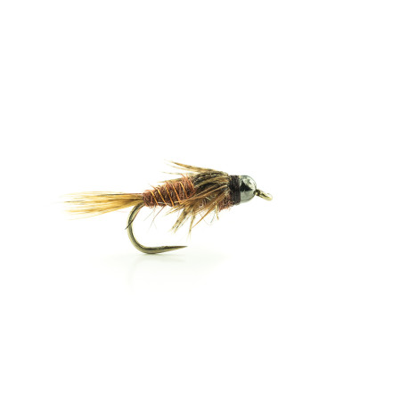 Nymphe Bille Tungstène Devaux HPPT 03
