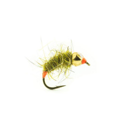 Nymphe Bille Tungstène Devaux JBNT02