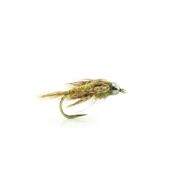 Nymphe Bille Tungstène HPPT02 H14 BL