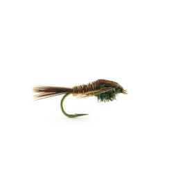 Nymphe Devaux PT01 H12