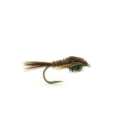 Nymphe Devaux PT01 H12