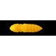 Leurre Souple Pupa Fishup 0,9inch