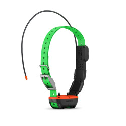 Collier De Suivi Et De Dressage Garmin TT25F